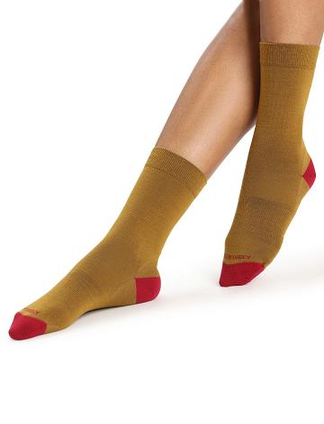 Clove / Cherry Women's Icebreaker Merino Lifestyle Fine Gauge Crew Socks | USA 1435AHKP